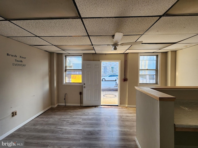 entrance foyer featuring hardwood / wood-style flooring, a paneled ceiling, a healthy amount of sunlight, and ceiling fan