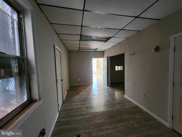 hallway with dark wood-type flooring and a paneled ceiling