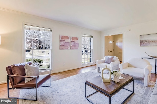 living room featuring ornamental molding, light hardwood / wood-style floors, and a healthy amount of sunlight