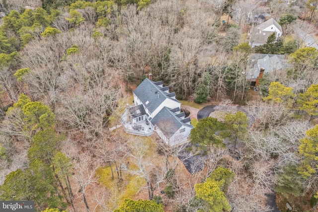 drone / aerial view