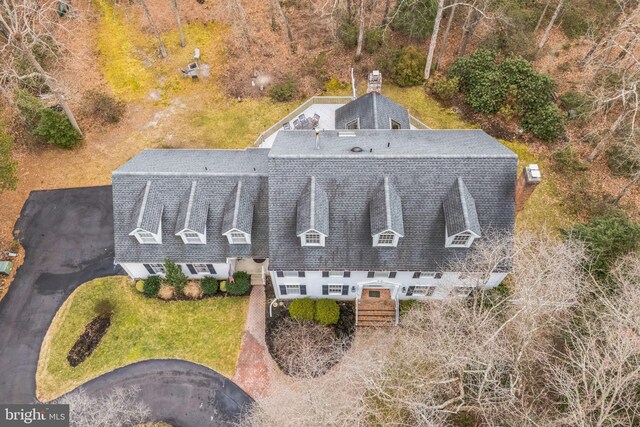 aerial view