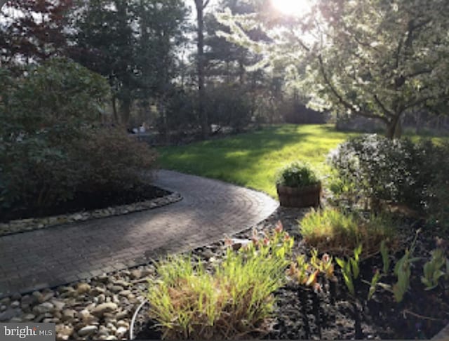 view of home's community with a yard