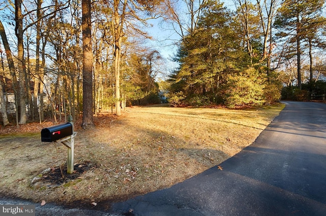 7 Heron Ct, Medford, NJ 08055 - view of street