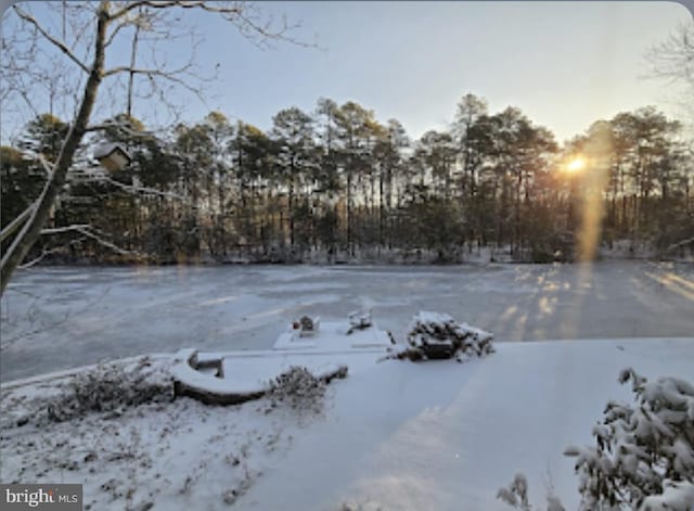view of yard covered in snow