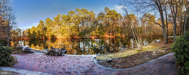7 Heron Ct, Medford, NJ 08055 - surrounding community with a water view