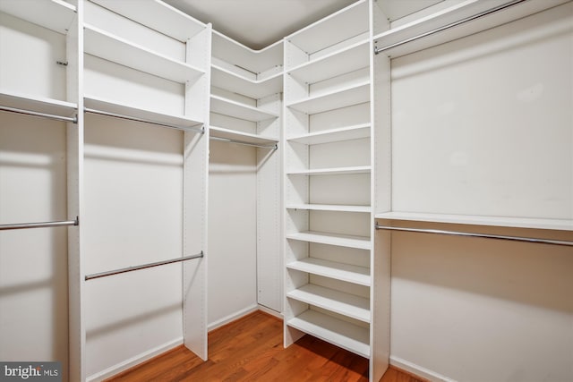 spacious closet featuring wood finished floors