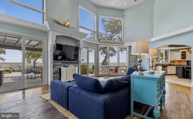 living room with a high ceiling, a wealth of natural light, and light hardwood / wood-style flooring