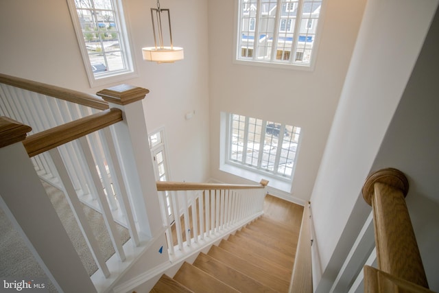 stairway featuring a high ceiling, wood-type flooring, and a healthy amount of sunlight