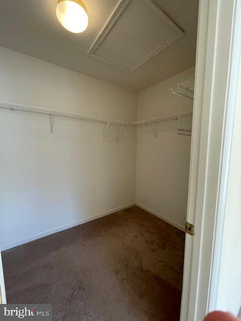 walk in closet featuring dark carpet