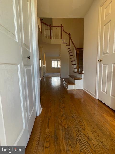 entrance foyer with hardwood / wood-style flooring and a high ceiling