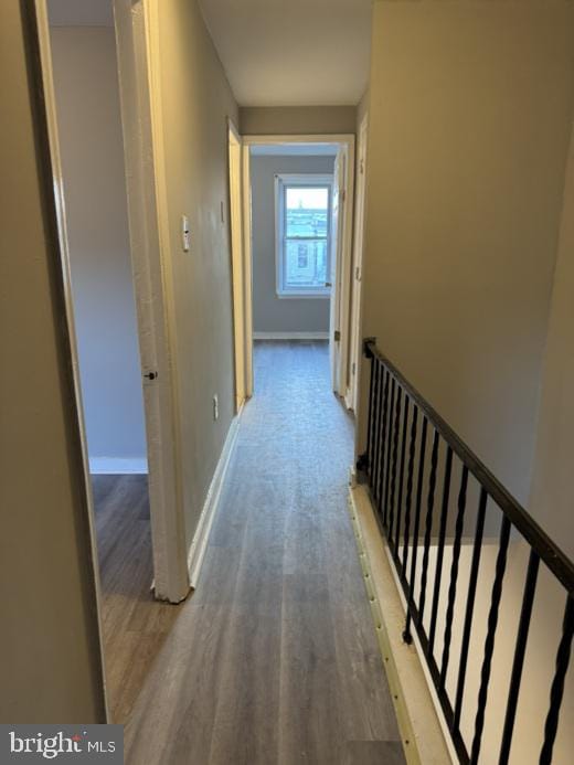 hallway featuring wood-type flooring