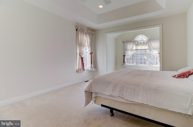 bedroom featuring carpet floors and a raised ceiling