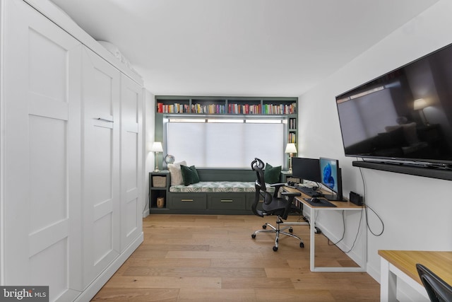 office featuring light hardwood / wood-style flooring