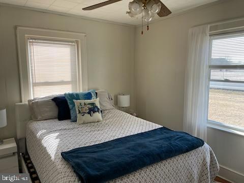 bedroom with multiple windows, ornamental molding, and ceiling fan