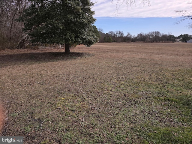 view of local wilderness with a rural view