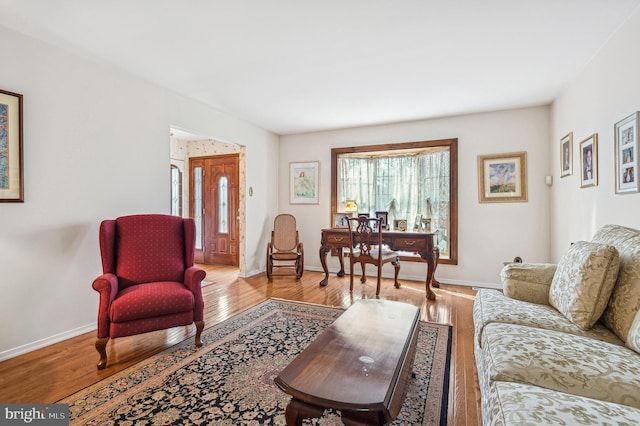 living room with wood-type flooring