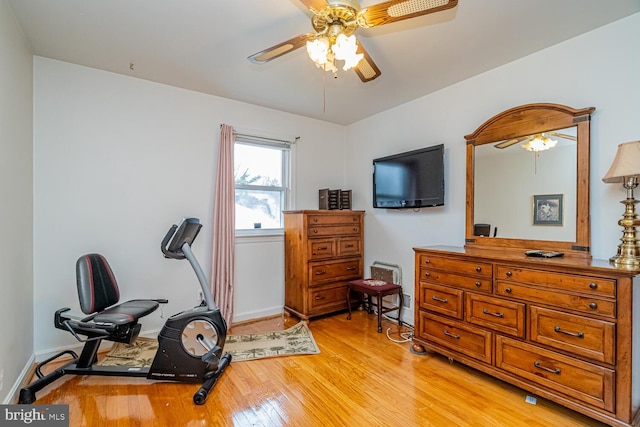 workout area with ceiling fan and light hardwood / wood-style flooring