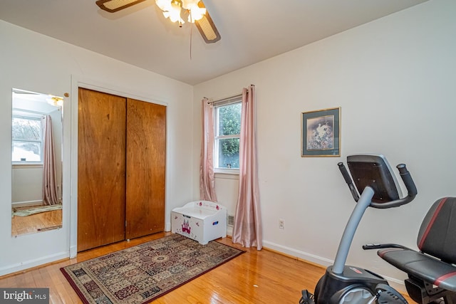 workout room featuring hardwood / wood-style flooring and ceiling fan