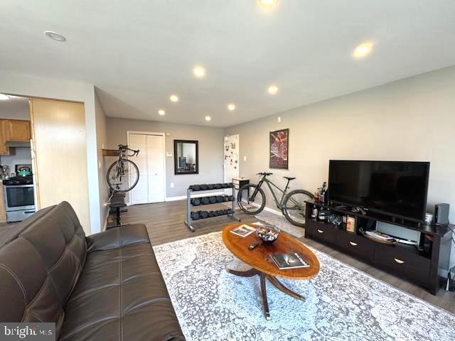 living room with hardwood / wood-style floors