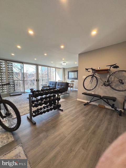 workout area with expansive windows and wood-type flooring