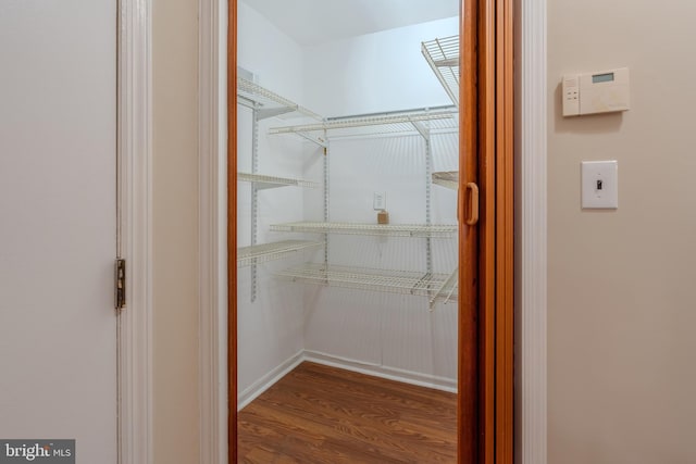 spacious closet featuring dark wood-type flooring