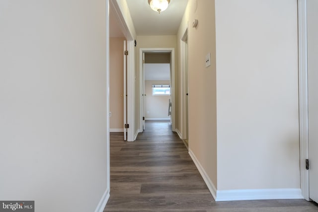 corridor featuring dark hardwood / wood-style flooring