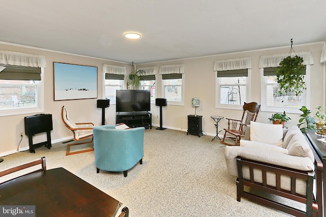 living room featuring crown molding, carpet, and baseboards