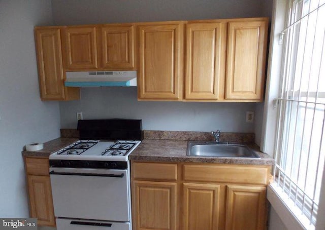 kitchen featuring sink and white gas stove