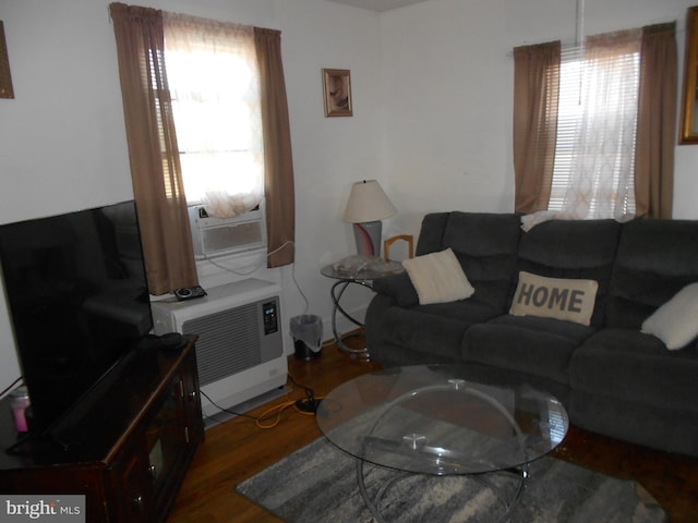 living room featuring dark hardwood / wood-style flooring