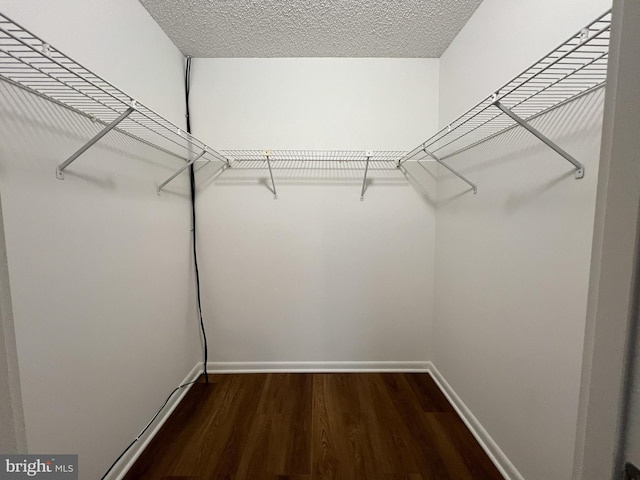 spacious closet with hardwood / wood-style flooring