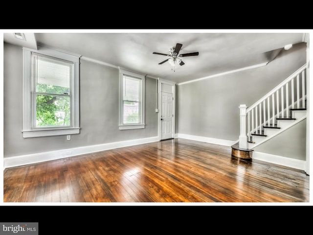 entryway with ceiling fan, ornamental molding, and dark hardwood / wood-style flooring