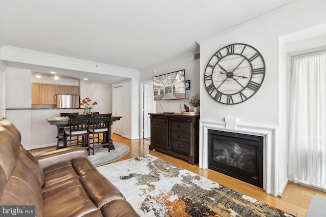 living room featuring ornamental molding and light hardwood / wood-style flooring