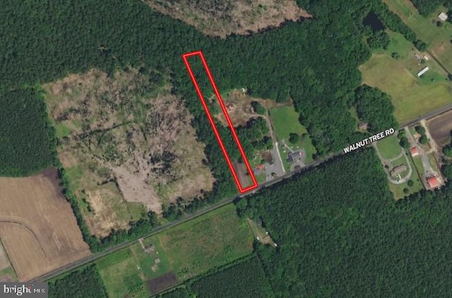 0 Walnut Tree Rd, Eden MD, 21822 land for sale