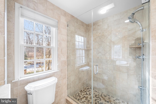 full bathroom featuring plenty of natural light, a shower stall, and toilet