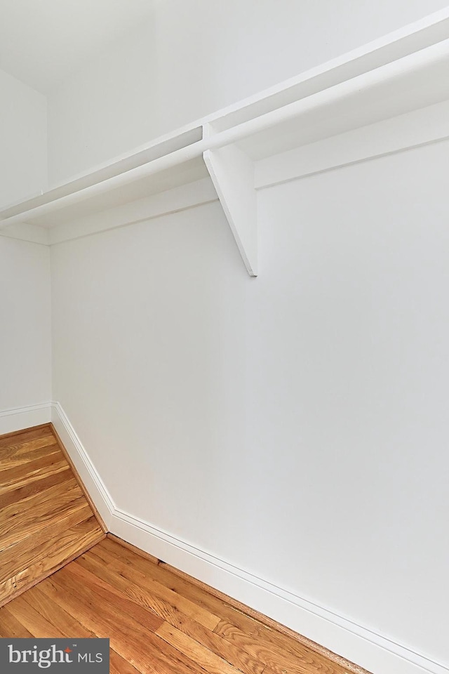spacious closet featuring light wood finished floors