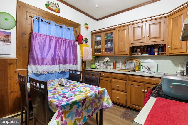 kitchen with a baseboard heating unit, crown molding, sink, and light wood-type flooring