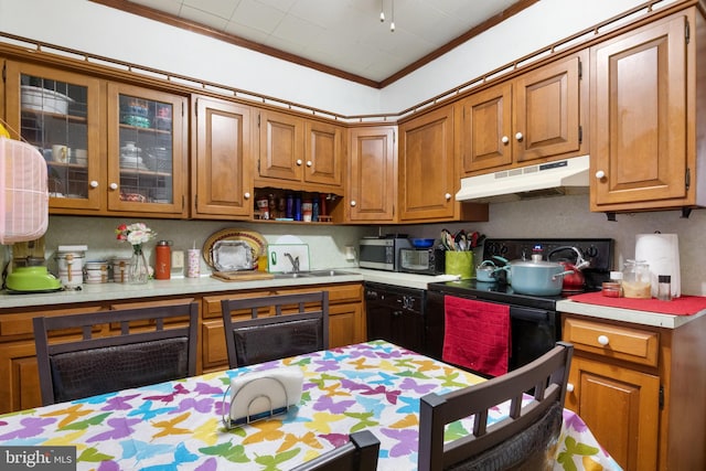 kitchen with sink, ornamental molding, and black appliances