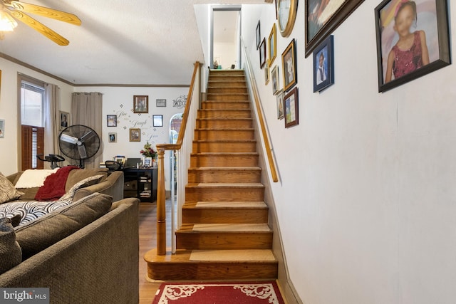 stairs featuring crown molding, hardwood / wood-style floors, a textured ceiling, and ceiling fan