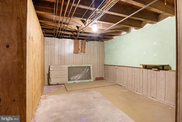 basement featuring wood walls