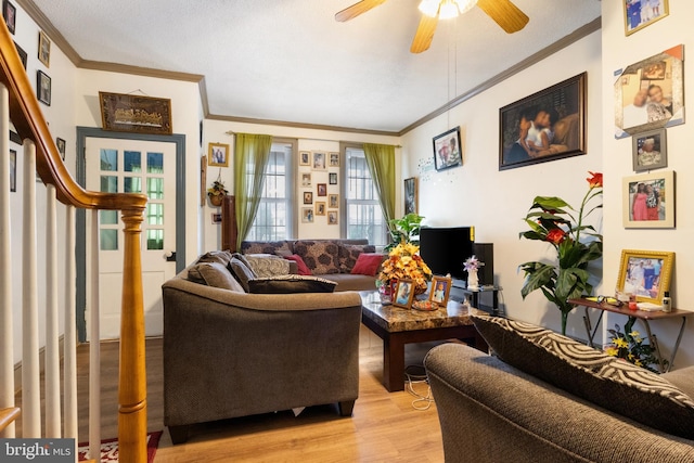 living room featuring crown molding, ceiling fan, and light wood-type flooring