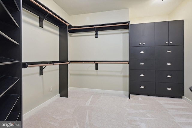 walk in closet featuring carpet flooring