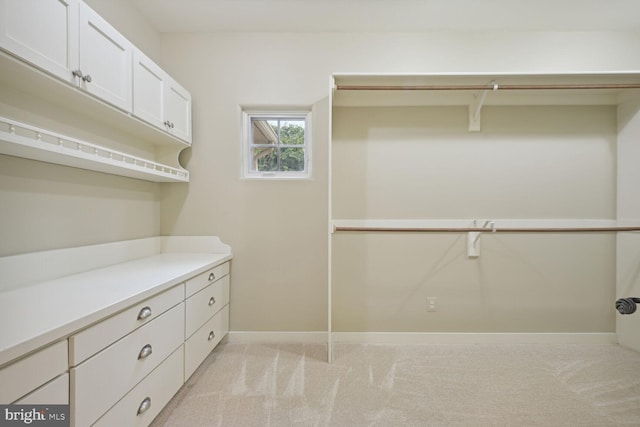 spacious closet with light colored carpet