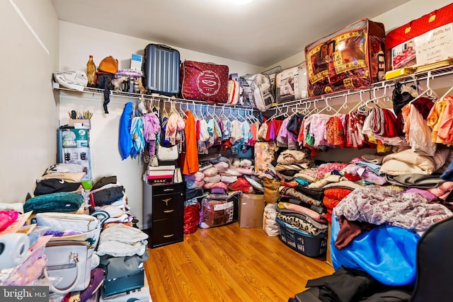 walk in closet featuring hardwood / wood-style floors