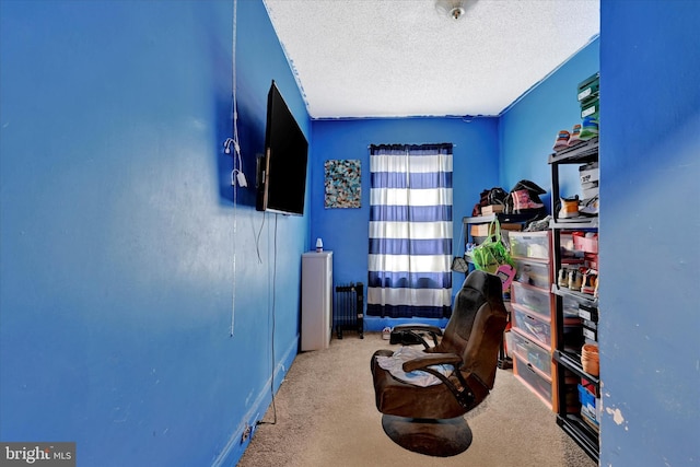 sitting room with carpet and a textured ceiling