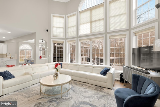 living room featuring recessed lighting, a healthy amount of sunlight, a high ceiling, and wood finished floors