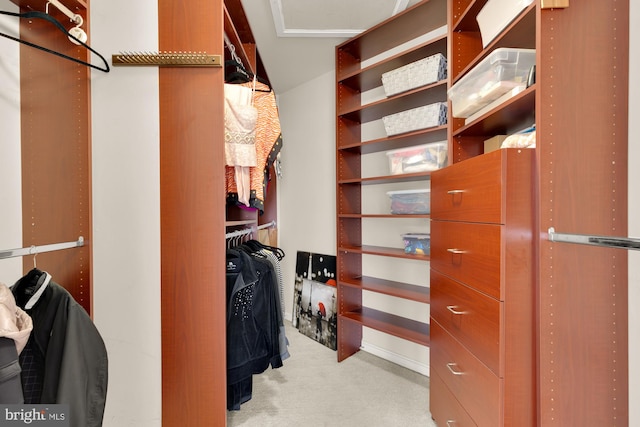 walk in closet featuring light carpet