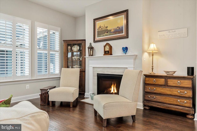 living area with dark wood-type flooring, baseboards, and a premium fireplace