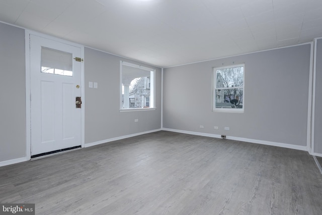 foyer featuring hardwood / wood-style floors and a wealth of natural light