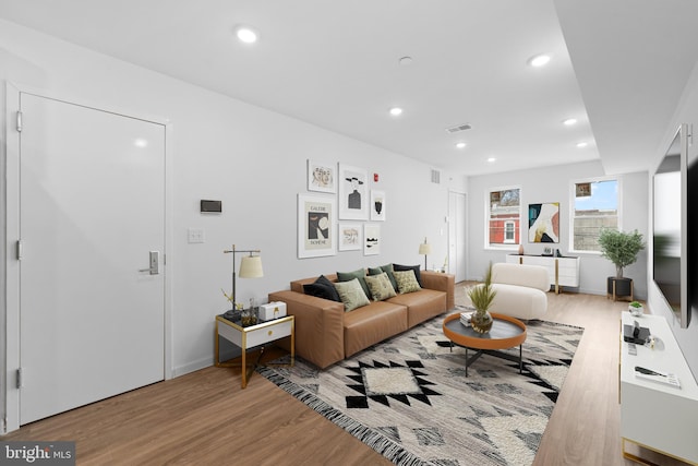 living room featuring light hardwood / wood-style floors