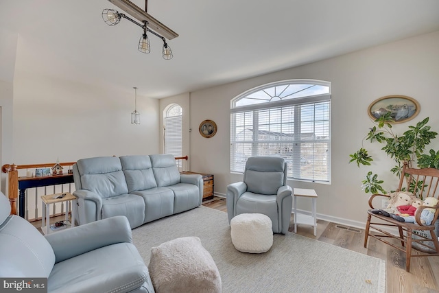 20868 Brunswick Ln, Millsboro, DE 19966 - living room with light wood-type flooring